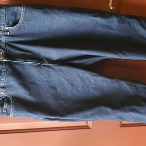 Land's End blue jeans relaxed fit traditional waist size 18P